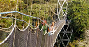 canopy walk rwanda