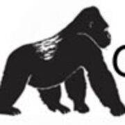 (c) Gorillaexpeditions.net